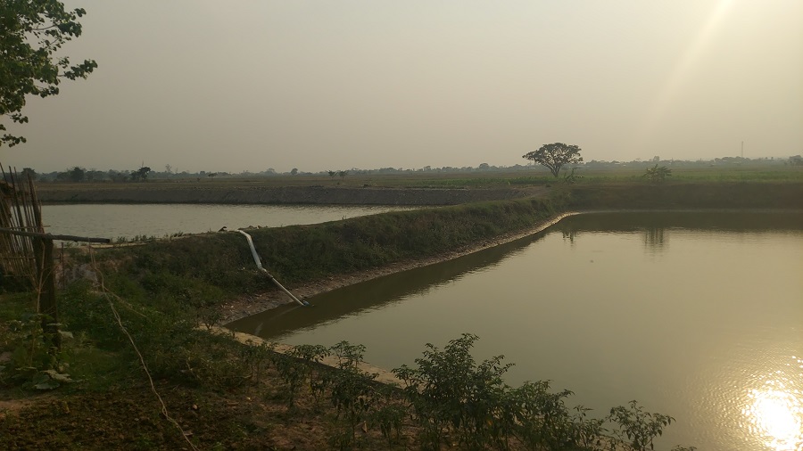 माछापालनप्रति किसानको आकर्षण बढ्दो   