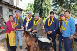 महिला किसान समूहसँग लिबर्डको ‘बाख्रा उपहार कार्यक्रम’        