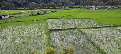 कृषि क्षेत्रको विकासबिना मुलुकको समृद्धि असम्भवः मन्त्री गिरी   