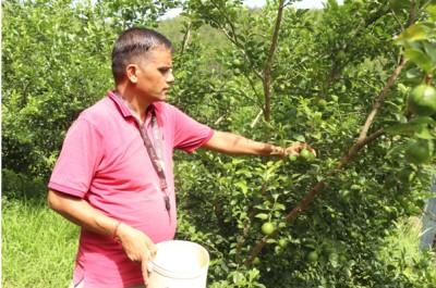 खाली जग्गा सदुपयोग गरी कागती खेती   