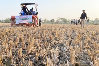 झापामा शून्य खनजोत प्रविधिबाट मकैखेती        