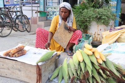 मकै बेचेर जीवन निर्वाह   