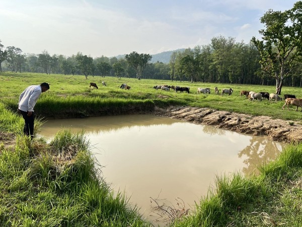 वन्यजन्तुका लागि जङ्गलमै पोखरी निर्माण   