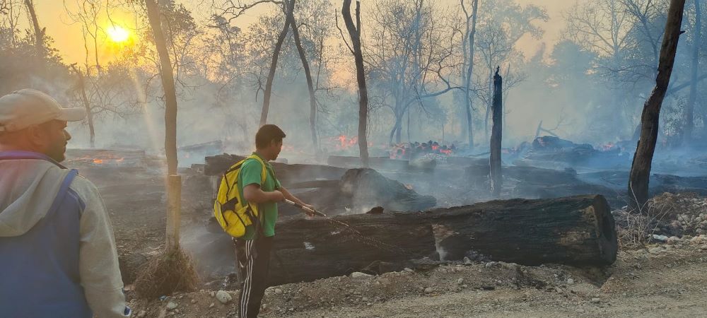 डढेलोबाट जङ्गलका स्रोत जोगाउनै मुस्किल       