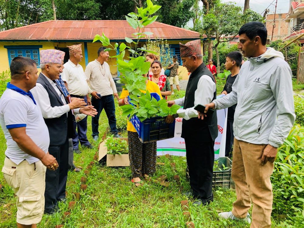 किसानलाई ६४ हजार डालेघाँसका बिरुवा वितरण       