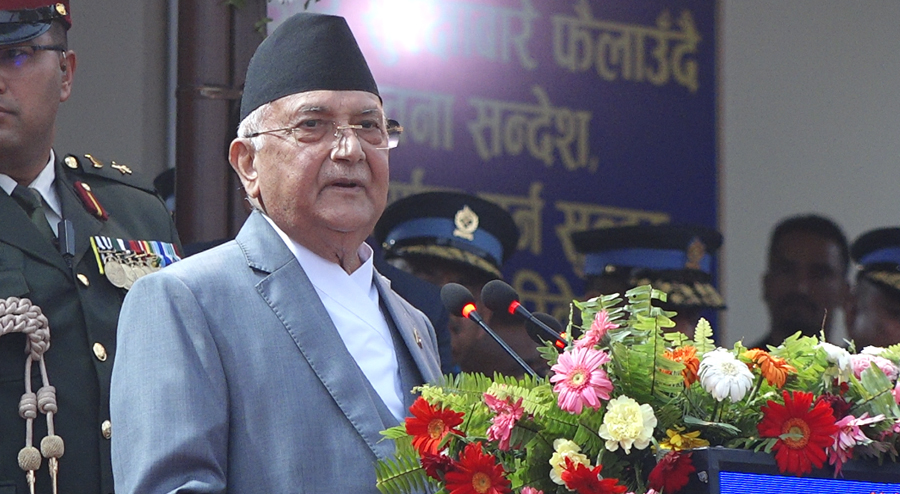 KP-Oli_-1729156299.jpg