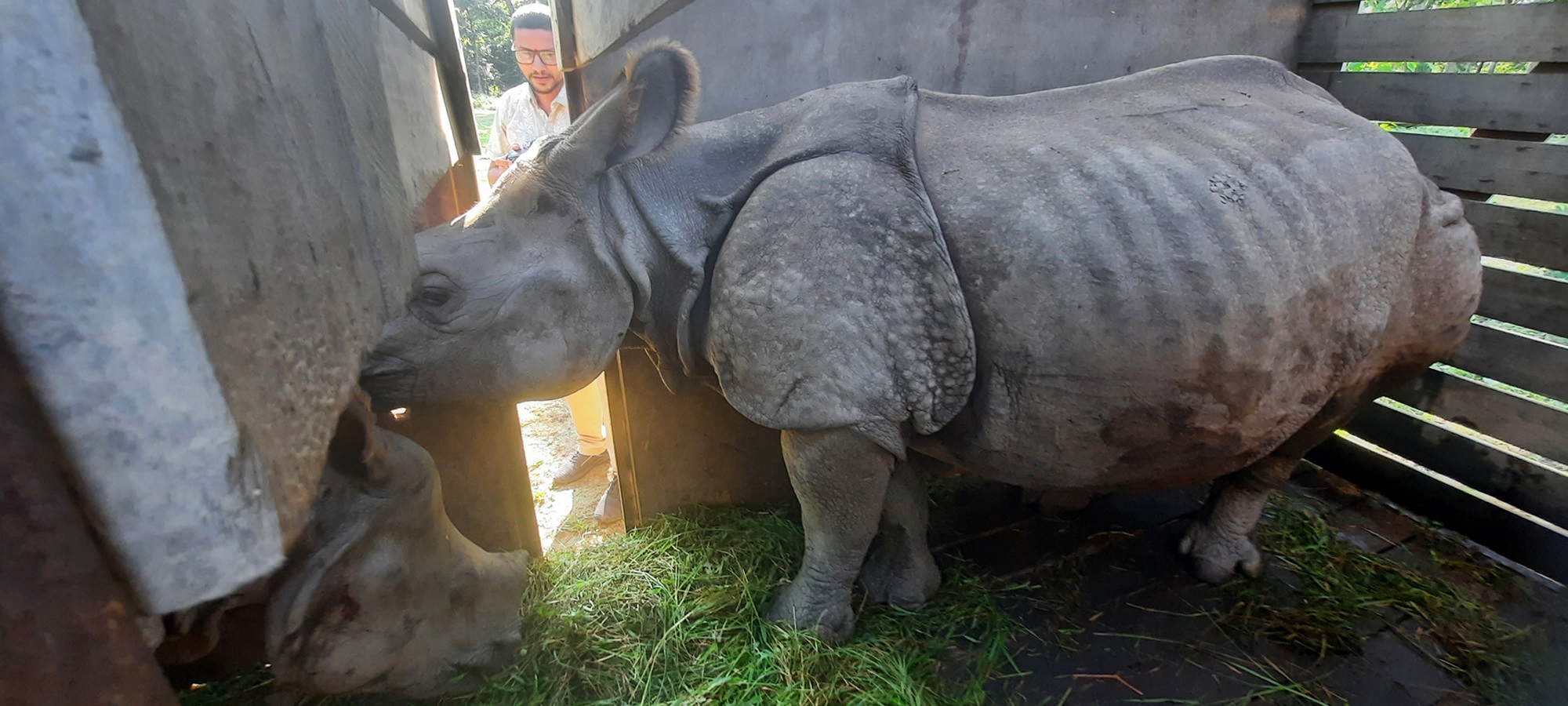 कोशी टप्पु पठाइए पुष्पा र अञ्जली   