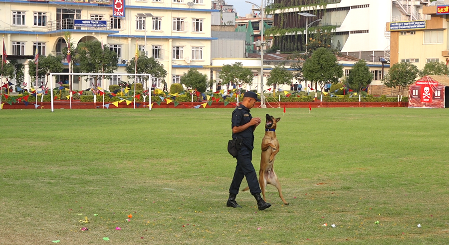 Police-Dog-1-1729156810.jpg