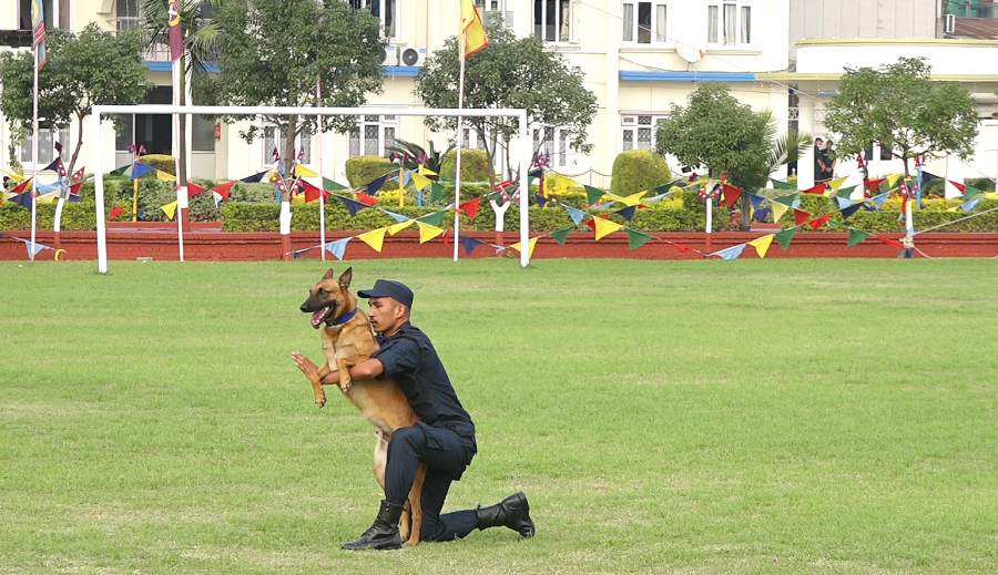 Police-Dog-3-1729156837.jpg