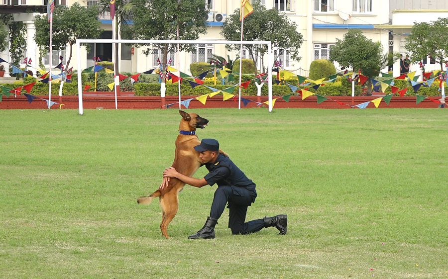 Police-Dog-4-1729156783.jpg