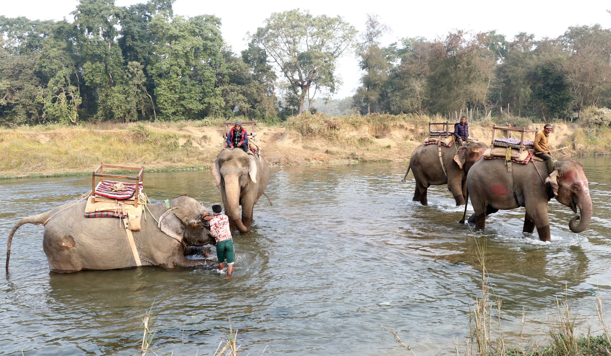 Pro_Chitwan_Bagmara_Hatti_Safaris(2)1705822458.jpg