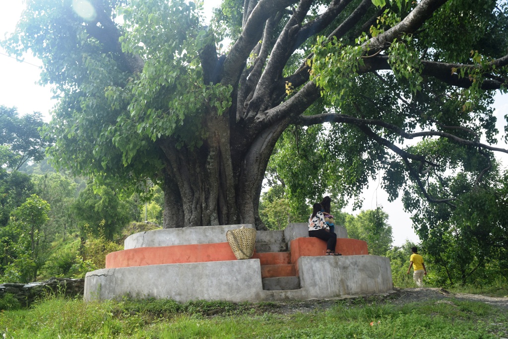 गाउँका चौतारीमा निःशुल्क इन्टरनेट    