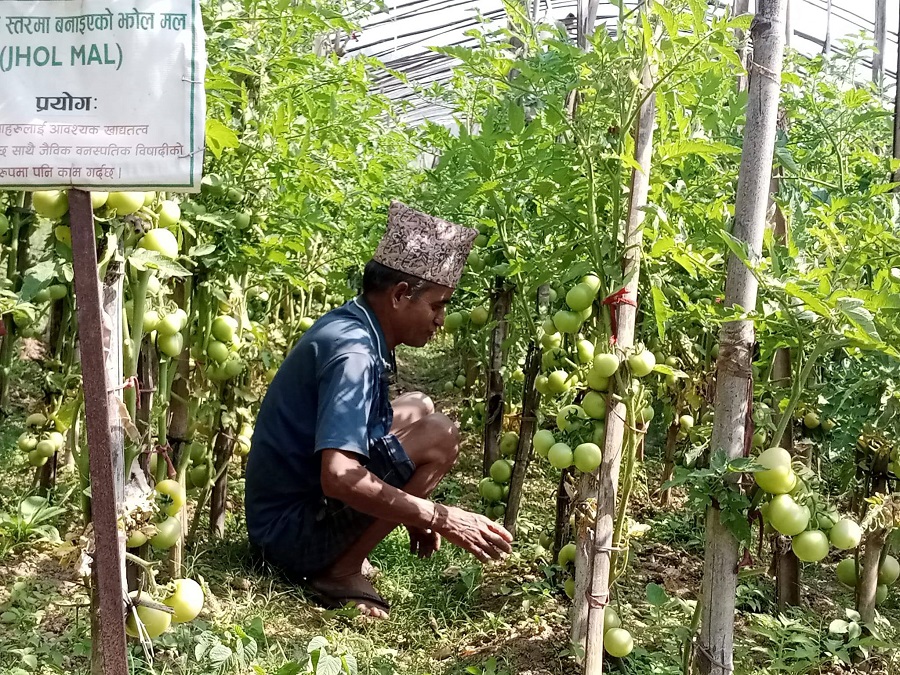 गाउँकै अगुवा किसान, गाउँले एफएम दाइ   